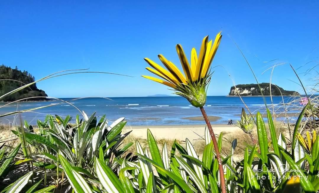 Southpacific Motel Whangamata Ngoại thất bức ảnh