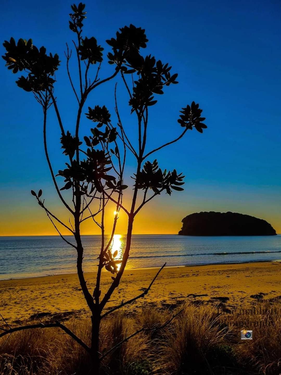 Southpacific Motel Whangamata Ngoại thất bức ảnh